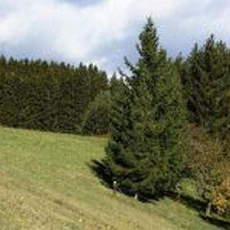 Landgasthof Hauser Immendingen Εξωτερικό φωτογραφία